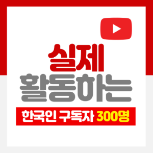 유튜브 한국인 구독자 300명